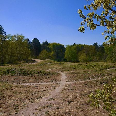 ארמלו Luxe Chalet Op De Veluwe מראה חיצוני תמונה