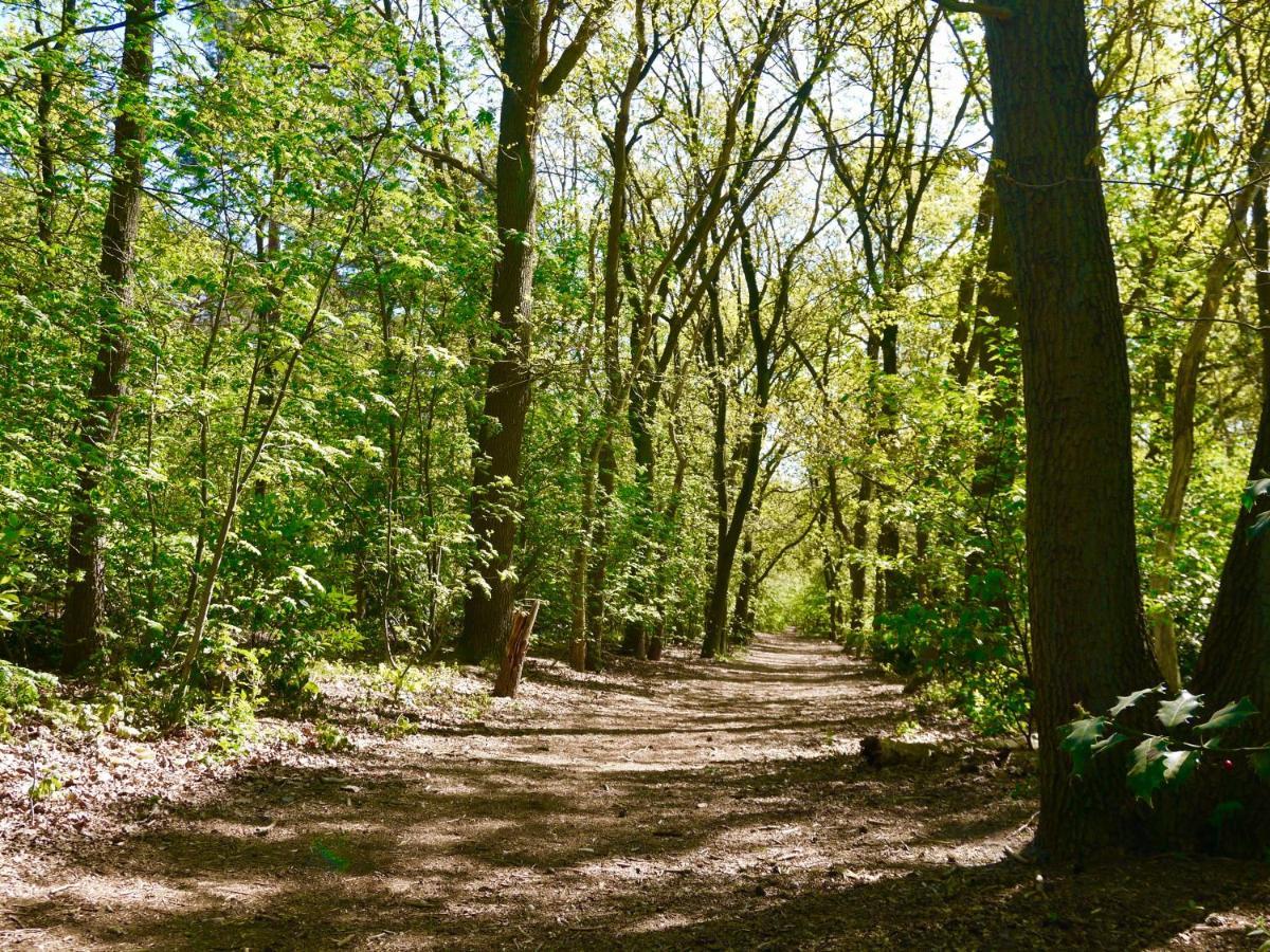 ארמלו Luxe Chalet Op De Veluwe מראה חיצוני תמונה