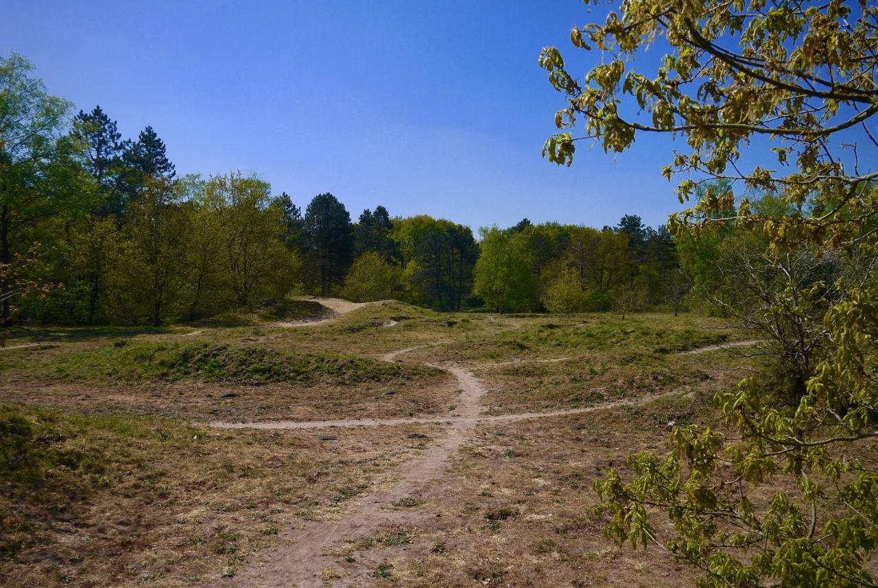 ארמלו Luxe Chalet Op De Veluwe מראה חיצוני תמונה